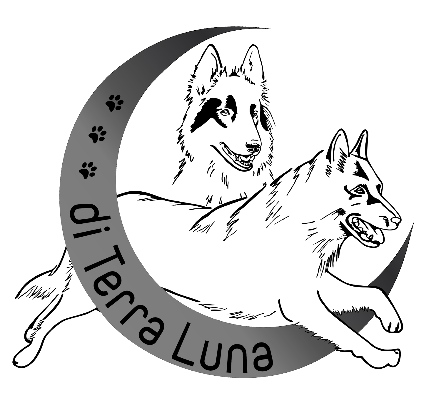 (c) Terra-luna.ch